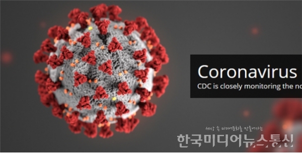 코로나19 바이러스 근접 모형(출처 : 네이버)
