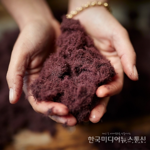 강소기업 < IR(Impact Review) < 기사본문 - 한국미디어뉴스통신 프랑스 넘버원 브랜드 ‘피토메르’와 함께 “나이는 잊어 버리세요”