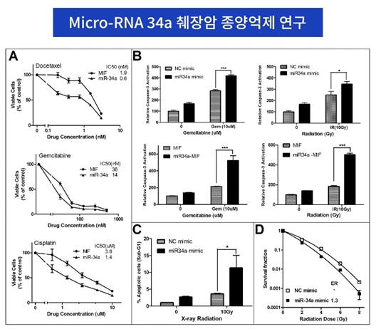 마이크로 RNA유전자치료에 사용하는 mi-RNA 34a췌장암 종양억제 연구자료